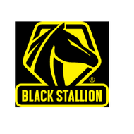 Black Stallion